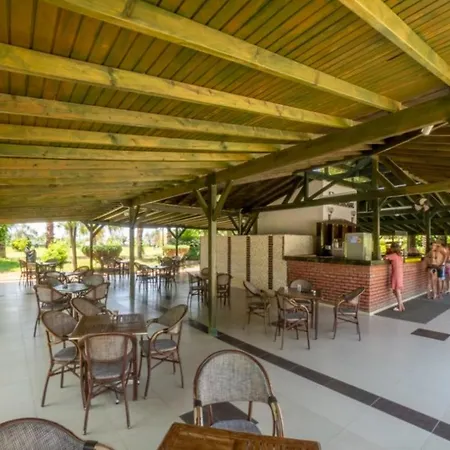Mc Arancia Marvida Palace 5* Алания