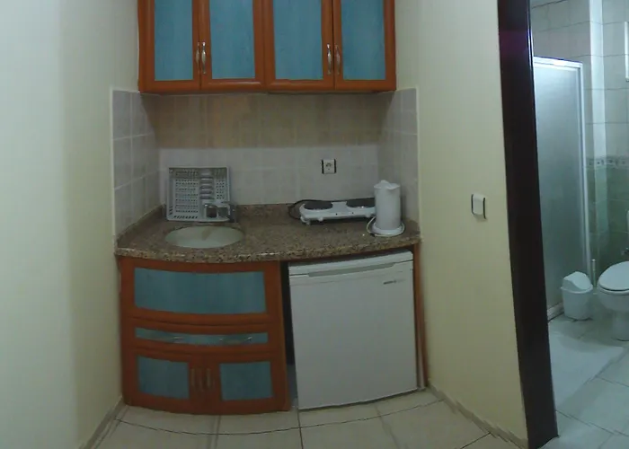 萨利森公寓酒店 3* 阿拉尼亚